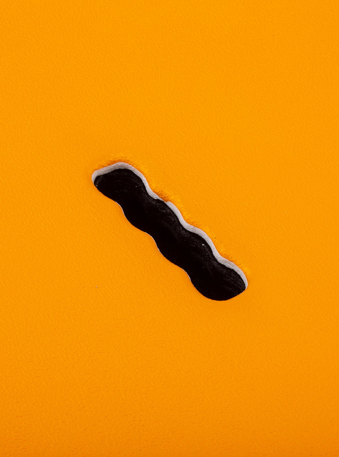 Easy Rider (Tri Fin)