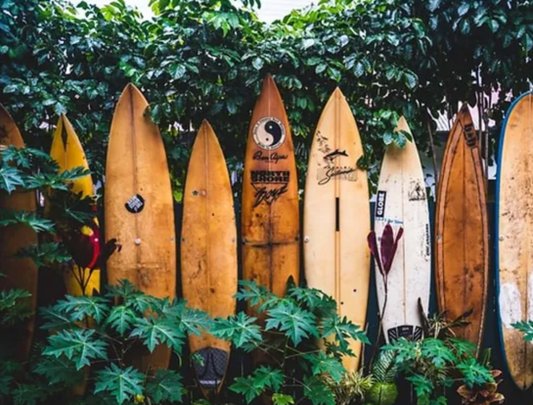 A deep dive into the effects of surf tourism