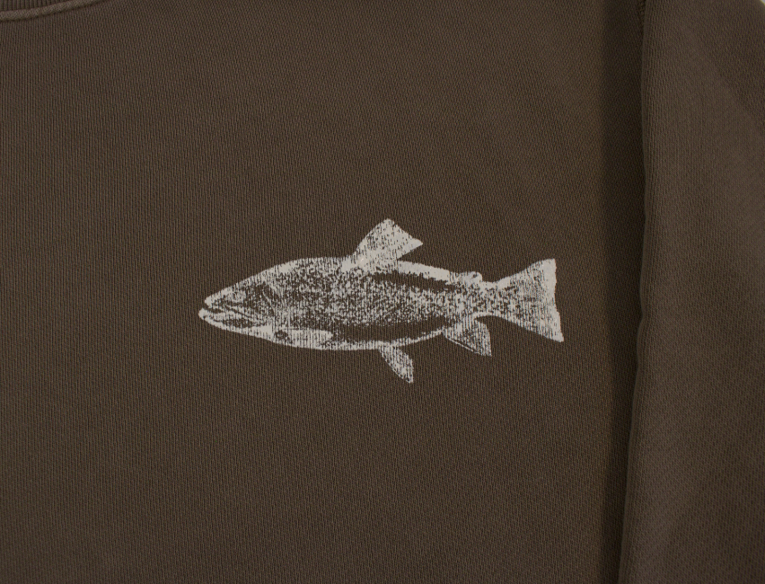 Crewneck (Fish)