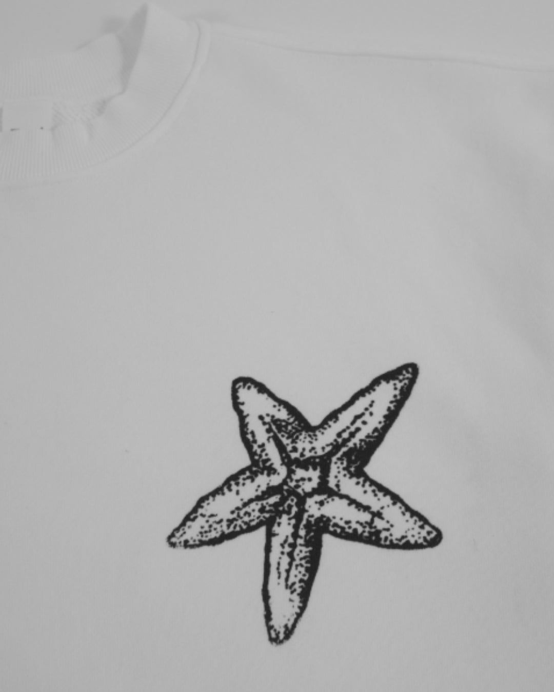 Crewneck (starfish)